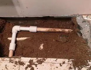 弋江测漏水哪家好