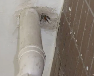 弋江漏水检测哪家好